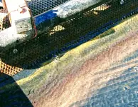 20180804_085122-1.webp