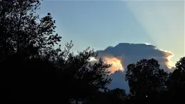 DSCN1466.webp