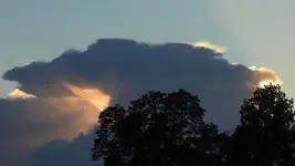 DSCN1469.webp