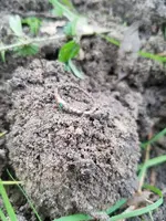 20180825_095341.webp