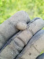 20180821_192609.webp