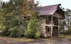 bertha.webp