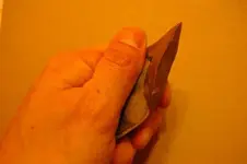 SG1L2588.webp