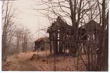 ny ossian.webp