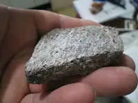 IMGP0193.webp