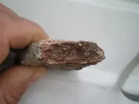 IMGP0198.webp