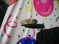 DSCN3902.webp