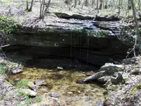 HPIM0231 (Small) (2).webp
