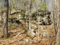HPIM0222 (Small).webp