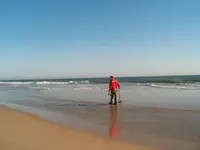 Lots of Beach.webp