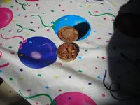 DSCN3903.webp