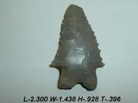 12-A-446 (818).webp