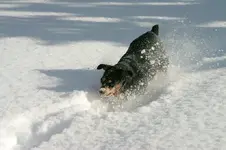 3 -  29 -  8 004_RT8.webp