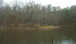 pond 1.webp