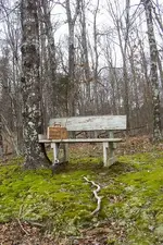 pond bench.webp