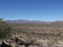 looking north.webp