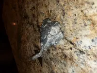 20180709_152812.webp 20180709_152812.webp