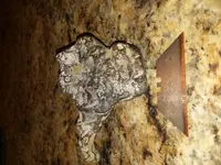 20180709_152801.webp 20180709_152801.webp
