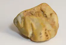 agate maybe2.webp