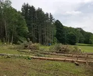 20180729_133049.webp