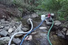 DSCF1458.webp