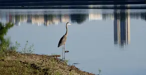 K1600_DSCN0112.webp