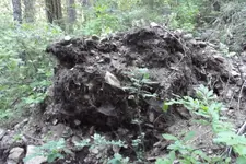 DSCF1459.webp
