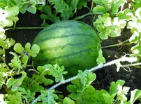 K1600_DSCN0125.webp