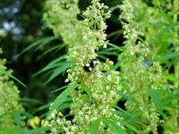 K1600_DSCN0119.webp