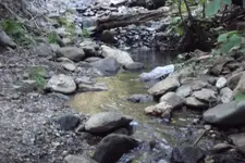 DSCF1460.webp