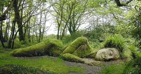 heligan-woodland-sculptures-04.webp