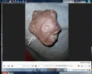Untitled.webp