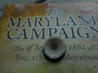 007.webp