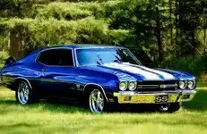 Chevelle b.webp
