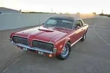 Cougar 1.webp