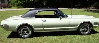 Cougar b.webp