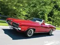 Cougar c.webp