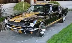 Mustang a.webp
