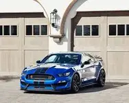 Mustang b.webp