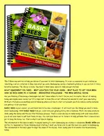 BEES BINDER.webp