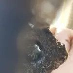 20180827_081328.webp