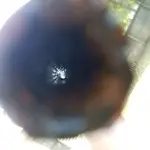 20180827_081417.webp