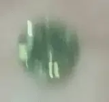 mystery gem color.webp
