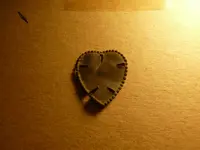 P1100321.webp