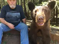 bear whisperer.webp