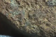 DSCF23551.webp