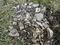 IMG_20180714_153709.webp