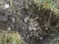 IMG_20180714_153713.webp