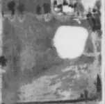 1956.webp