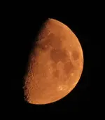 pink moon 010.webp